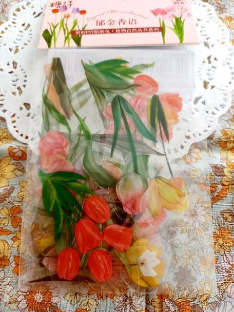 新品未開封☆チューリップのpetシール☆ < インテリア/ライフ 新品未開封☆チューリップのpetシール☆ < インテリア/ライフの