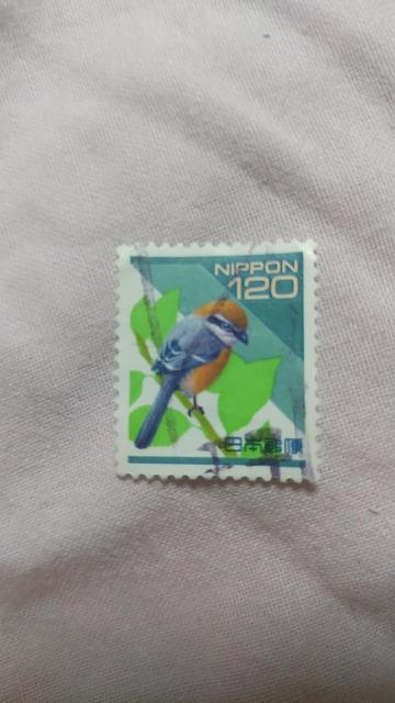 �k�g�p�ςݐ؎�l���{�@120�~�@�S�� 