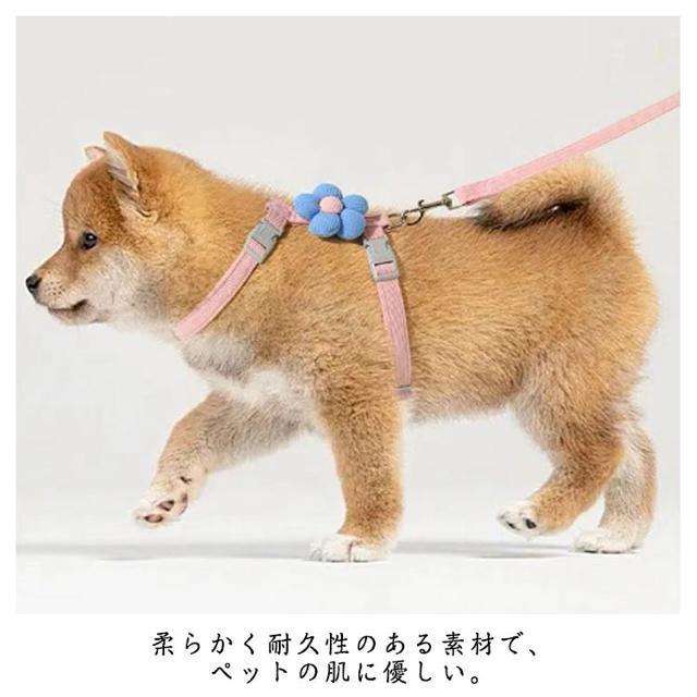 ぷっくりお花!ペットハーネス+リード 2点セット【新品】ピンク×水色 S●猫 うさぎ 子犬 小動物●お散歩 首輪 ハーネス 花 < ペット/手芸/園芸 ぷっくりお花!ペットハーネス+リード 2点セット【新品】ピンク×水色 S●猫 うさぎ 子犬 小動物●お散歩 首輪 ハーネス 花 < ペット/手芸/園芸の