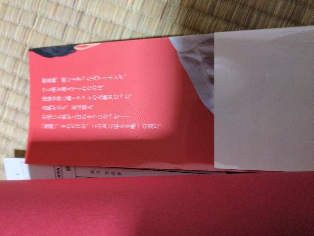 ☆「赤い心」 新井貴浩著☆ 広島東洋カープ 新井監督 < 本/雑誌 ☆「赤い心」 新井貴浩著☆ 広島東洋カープ 新井監督 < 本/雑誌の