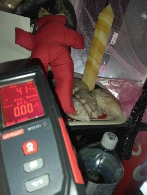 ���ꂽ�����@�A���e�B�[�N�@�~������@���Q����ʍő单���p�u�[�h�D�[�l�`�j�� �� �z�r�[�� 