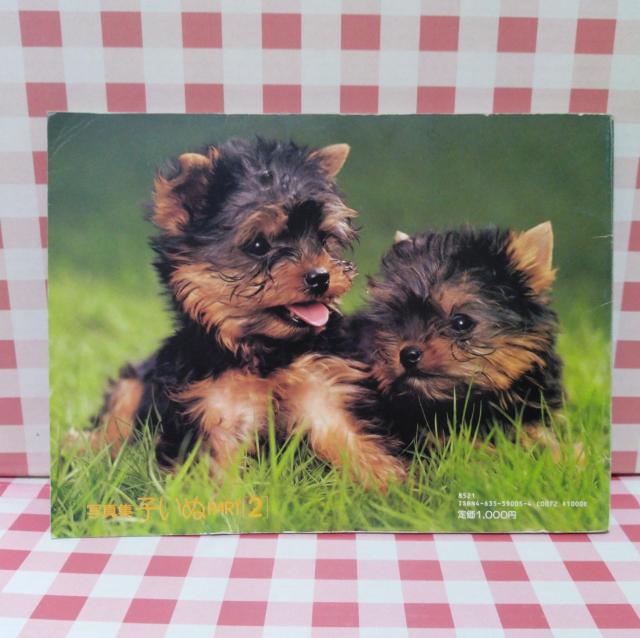 �w�q���� PART2�x �� �{/�G���� 