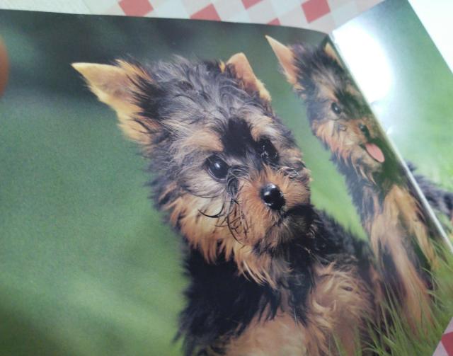 �w�q���� PART2�x �� �{/�G���� 