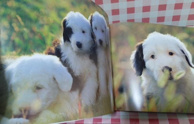 �w�q���� PART2�x �� �{/�G���� 