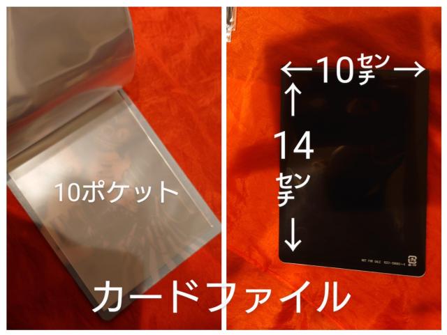 倖田來未 倖田組 Playroom ファンクラブ特典 チケットホルダー ビニールケース カードファイル Dejavu < タレントグッズ  倖田來未 倖田組 Playroom ファンクラブ特典 チケットホルダー ビニールケース カードファイル Dejavu < タレントグッズの