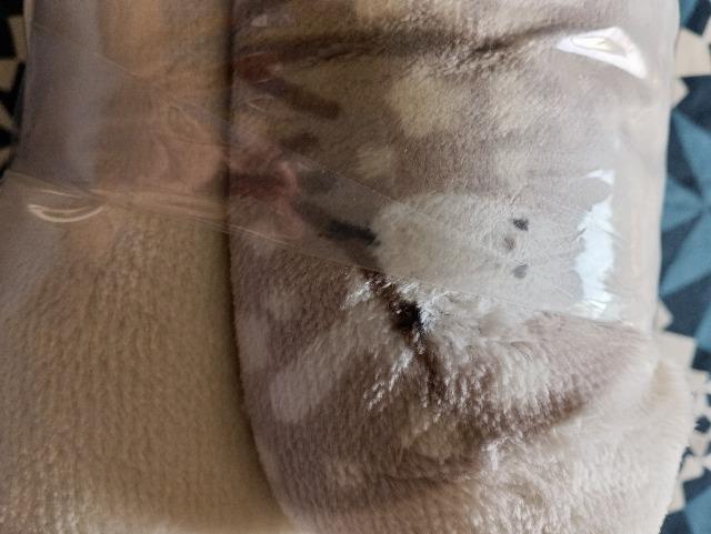 jgAѕzɂȂ|zcJo[ViV}GiK