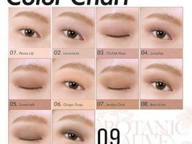 CLIO NI v ACpbg Pro Eye Palette #09 BOTANIC MAUVE  /RX/lC 