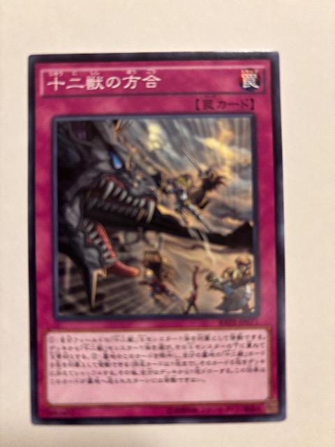 �V�Y���y㩁E�\�j�b�̕����z  �� �g���[�f�B���O�J�[�h�� 