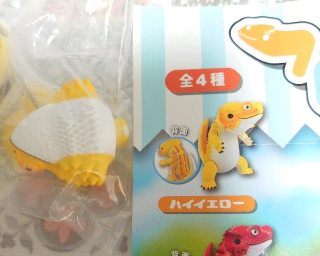 y`OzK`K`wtgASxnCCG[  zr[ 