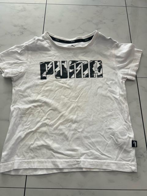 PUMAv[}TVc120cm   uh 