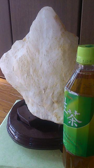 fJCI4A6LI΁IJehCu[΁Ii  CeA/Ct 