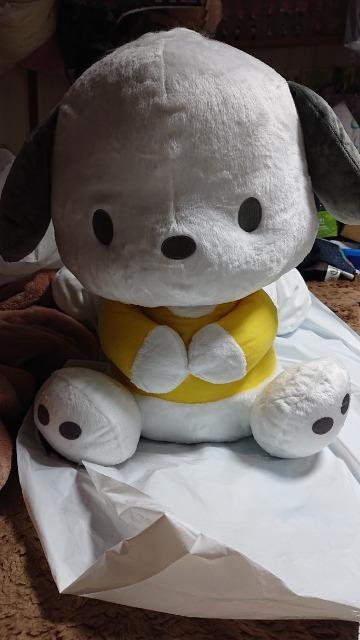 サンリオキャラクター・ポチャッコ・ぬいぐるみ < おもちゃ  サンリオキャラクター・ポチャッコ・ぬいぐるみ  < おもちゃの