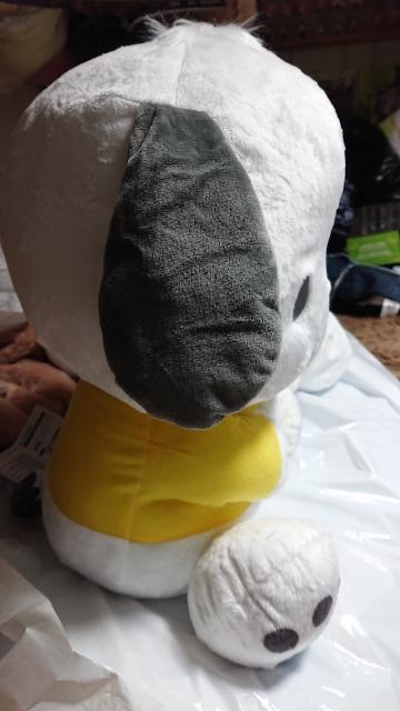 サンリオキャラクター・ポチャッコ・ぬいぐるみ < おもちゃ  サンリオキャラクター・ポチャッコ・ぬいぐるみ < おもちゃの