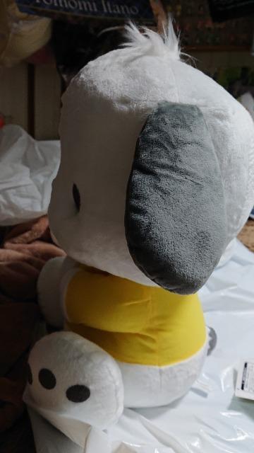 サンリオキャラクター・ポチャッコ・ぬいぐるみ < おもちゃ  サンリオキャラクター・ポチャッコ・ぬいぐるみ < おもちゃの