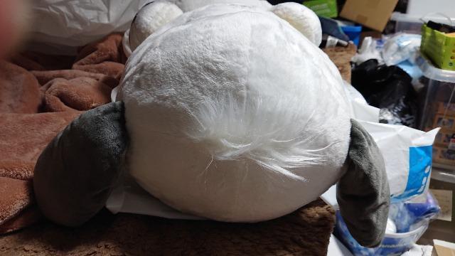 サンリオキャラクター・ポチャッコ・ぬいぐるみ < おもちゃ  サンリオキャラクター・ポチャッコ・ぬいぐるみ < おもちゃの