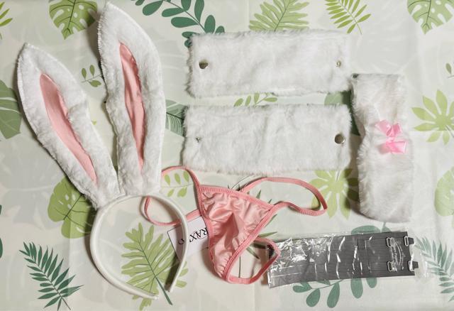 コスプレセット ピンク色 フリーサイズ 新品 < 女性ファッション コスプレセット ピンク色 フリーサイズ 新品 < 女性ファッションの