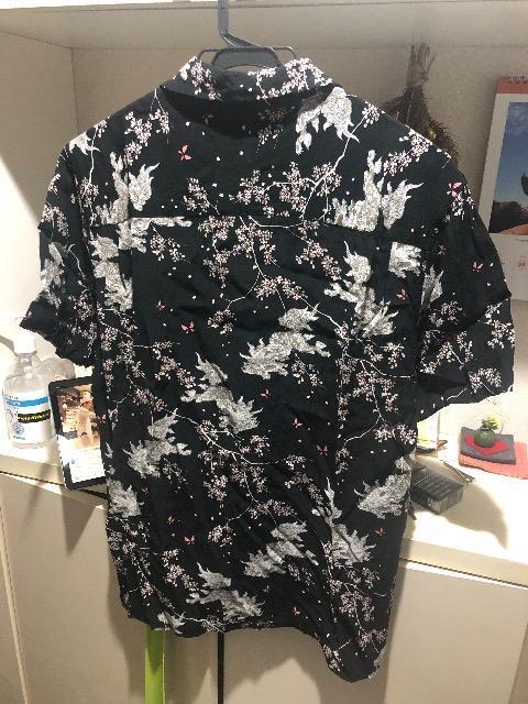 �a�� �V���c ����