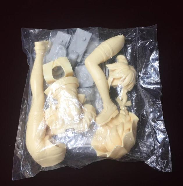 T�fs System �͑����ꂭ����� ���J �d��ver. �K���[�W�L�b�g ���Ȃ�