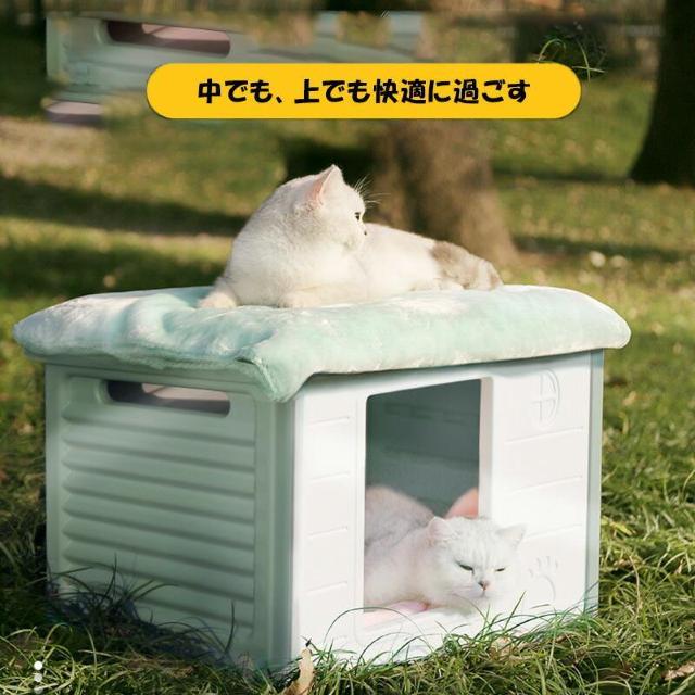ē~p K ybgnEX gȒP ω׏d50kg sN J[L  ybg/|/| 