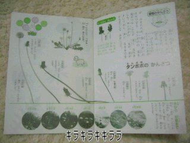 �sNew�t�~�b�t�B�[����D���ȕ��Ɂ��~�b�t�B�[�̎��R��(�}�ӕt)<B5�T�C�Y> �� �C���e���A/���C�t�� 