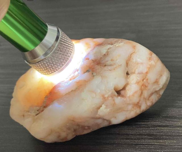 2,000~X^[gIuC[ƁvuWG[Ɓv̑fނɈgM΁iIWJ[lAj  t@bV 