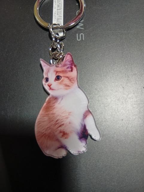 �L�̃L�[�z���_�[  �� �����t�@�b�V������ 