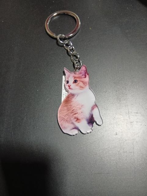 �L�̃L�[�z���_�[ �� �����t�@�b�V������ 