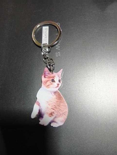 �L�̃L�[�z���_�[ �� �����t�@�b�V������ 