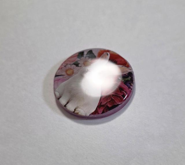 񂩂킢lbNX@@u[`@@lbNX@@|j[tbN@@ANZT[@@@ETM@@  t@bV 