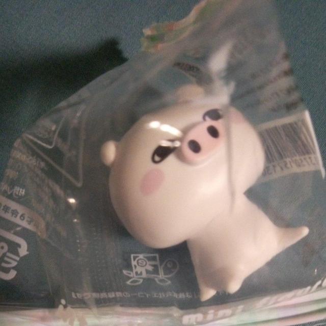 �C���e���A�~�j�t�B�M���A�@3�_ �� ��������� 