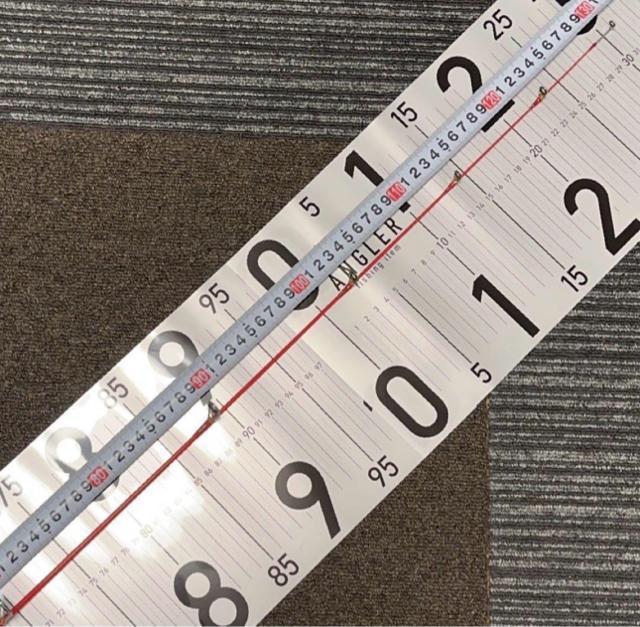 ワンピース ルアーロッド < レジャー/スポーツ ワンピース ルアーロッド < レジャー/スポーツの