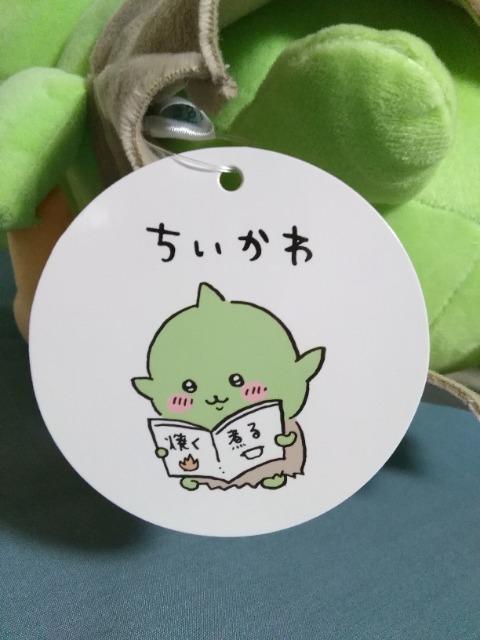 ��������S�u����BIG�ʂ������ �� ��������� 