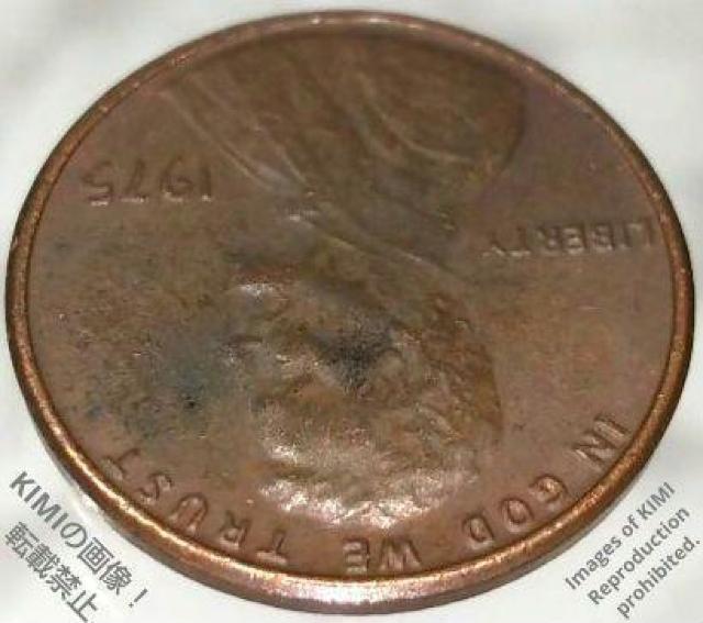 1セント硬貨 1975 アメリカ合衆国 リンカーン 1セント硬貨 1ペニー < ホビー  1セント硬貨 1975 アメリカ合衆国 リンカーン 1セント硬貨 1ペニー < ホビーの