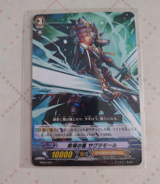 �J�[�h�t�@�C�g�I�I���@���K�[�h ���̗� �T�O�����[�� �m�[�}��TD05/003 855 