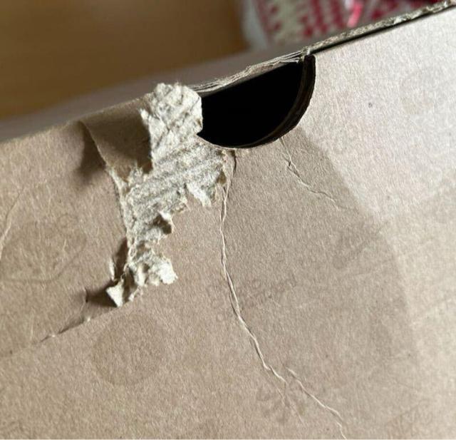 NIKE AIR FOOTSCAPE WOVEN MOTION Gingham Pack Red 28.5cm iCL MK  uh 