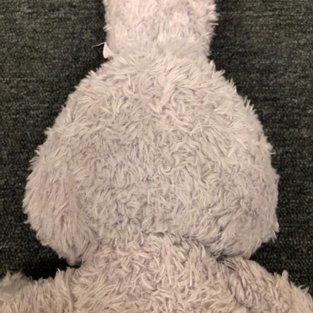  Disney fBYj[ Xe[ ʂ   