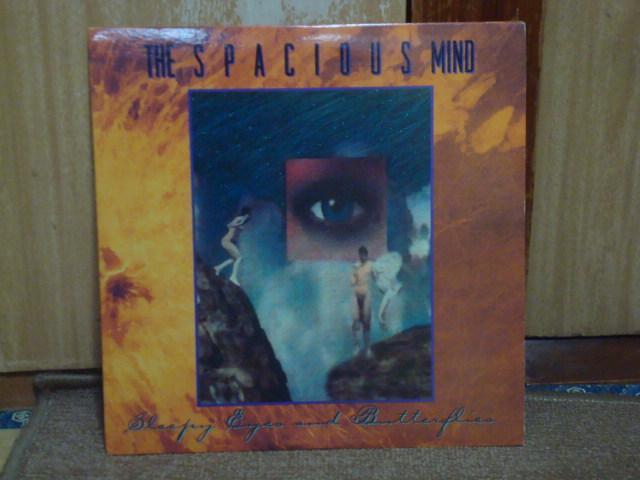 Sleepy Eyes And Butterflies / The spacious mind 2LP < CD/DVD/ビデオ  Sleepy Eyes And Butterflies / The spacious mind 2LP  < CD/DVD/ビデオの