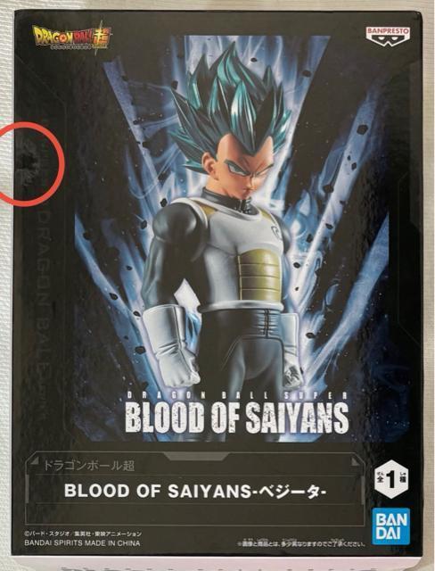 hS{[ BLOOD OF SAIYANS xW[^   Aj/R~bN/LN^[ 