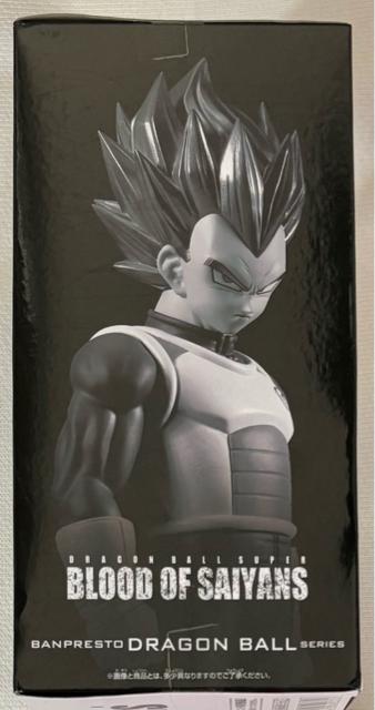 hS{[ BLOOD OF SAIYANS xW[^  Aj/R~bN/LN^[ 