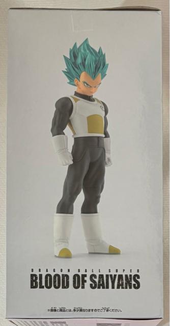 hS{[ BLOOD OF SAIYANS xW[^  Aj/R~bN/LN^[ 