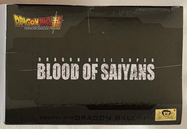 hS{[ BLOOD OF SAIYANS xW[^  Aj/R~bN/LN^[ 