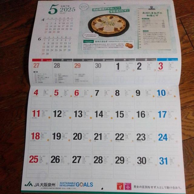 2025N@J_[@36.5cm~50.5  zr[ 