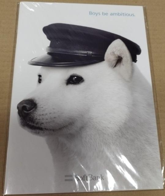 SoftBank wXԂ񌢁@m[g  CeA/Ct 