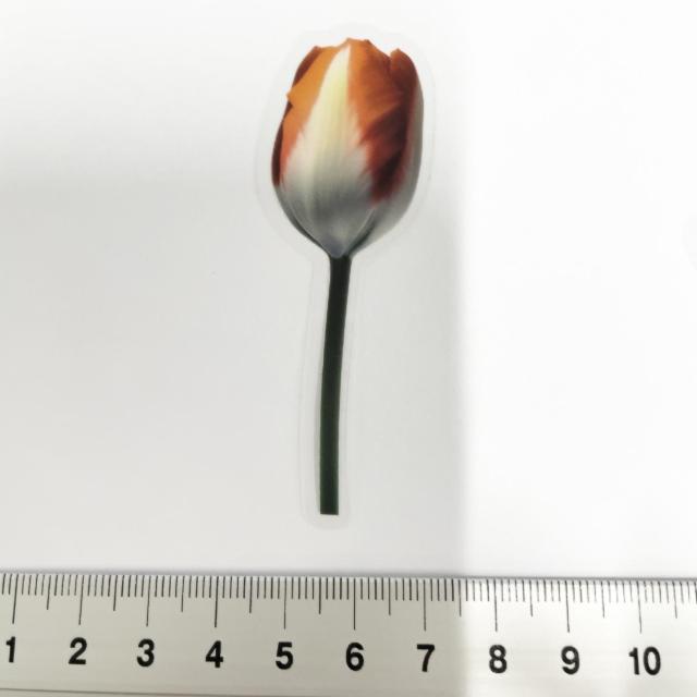 ���X�g��`���[���b�v�̃R���[�W���V�[���@375  �� �C���e���A/���C�t�� 