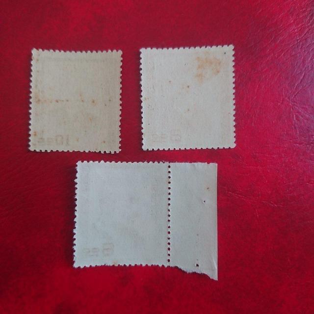 �������������a�̐l���؎聖���g�p�i���R�_ �� �z�r�[�� 