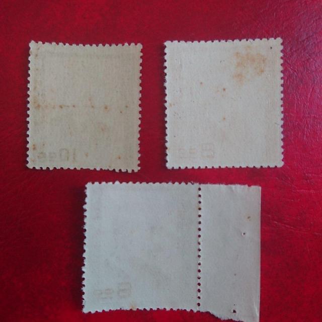 �������������a�̐l���؎聖���g�p�i���R�_ �� �z�r�[�� 