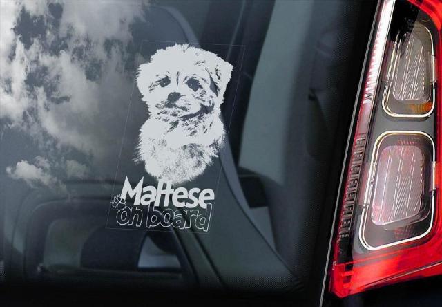 ◆マルチーズ @N 外張り カーステッカー 190×100mm 外貼り カー ステッカー 車 ガラス シール DOG ペット 犬 < 自動車/バイク ◆マルチーズ @N 外張り カーステッカー 190×100mm 外貼り カー ステッカー 車 ガラス シール DOG ペット 犬 < 自動車/バイク