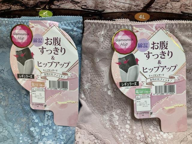 Iw3gx傫ڃTCYIXbLqbvAbvIYɃtBbgIȍM[V[cK[h