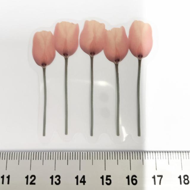 ���X�g��`���[���b�v�̃R���[�W���V�[���@379  �� �C���e���A/���C�t�� 