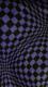 ���V�i���o���_�i���􉽊w����black/purple��